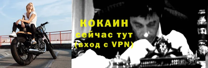 КОКАИН VHQ  Балабаново 